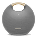 Harman Kardon - Onyx Studio 6 Portable Bluetooth Speaker Tekkas Store Speaker Silver Tekkas_Store