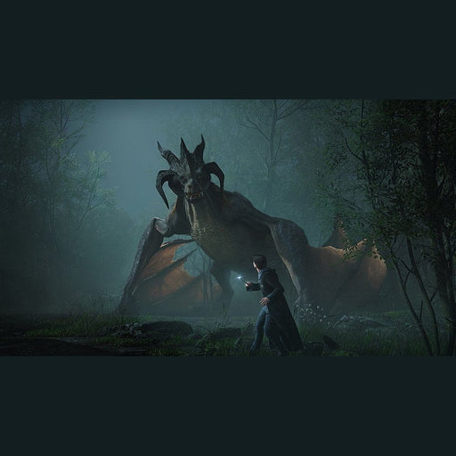 Hogwarts Legacy - PlayStation 5 Tekkas Store Games Tekkas_Store